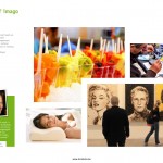 stayen_retailbrochure_014
